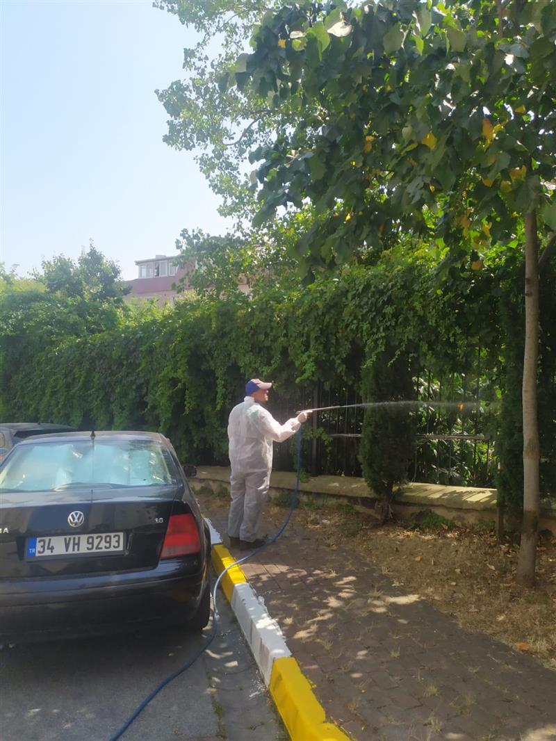 Sitemizdeki Tm Peyzaj Alann Zararl Haerata Kars lalad.